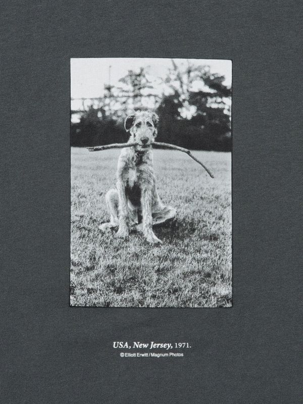 Elliott Erwitt UT Graphic T-Shirt