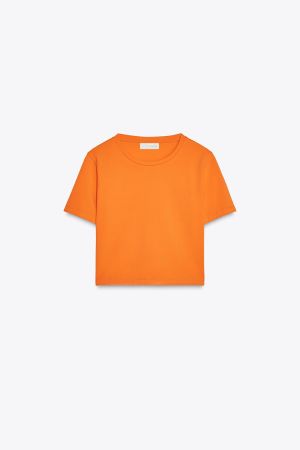 SHORT SLEEVE CROPPED TOP